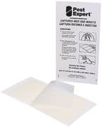 Pest Expert Mouse Glue Traps (144 Pack)