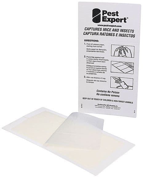Mouse Glue Traps (72 Pack). Pest-Expert.com