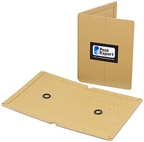 Rat Glue Boards (24 Pack). Pest-Expert.com