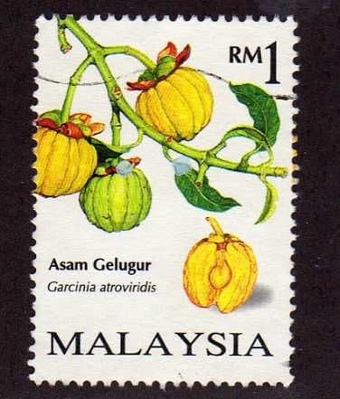 1998 1 00 Fruits Asam Gelugur Fine Used