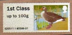 2011 1ST CLASS 'BIRDS III'    FINE USED