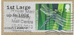 2013 1ST LARGE 'FRESHWATER LIFE 'EMPEROR DRAGONFLY'  FINE USED