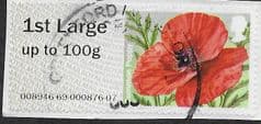 2014 1ST LARGE  'FLOWERS - COMMON POPPY' (MA14) FINE USED