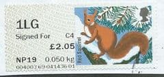 2015 1LG (SIGNED FOR) (C 4)  'FUR AND FEATHERS - RED SQUIRREL ( POSTCODED)'  FINE USED