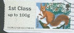 2015 1ST  'FUR AND FEATHERS - RED SQUIRREL' FINE USED