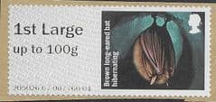 2016 1ST LARGE 'BROWN LONG EARED BAT' FINE USED