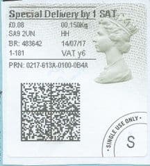 2017 SPECIAL DELIVERY BY 1 SAT ( Y 6) TYPE 4b HORIZON LABEL  (GREY/ GREEN VARIATION) FINE USED
