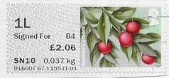 2020 1L SIGNED FOR (B4)  - BUTCHERS BROOM' (R20YAL)(POSTCODED) FINE USED