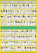 S-48 English Spelling Chart A1 (Medium Wallchart for Groups or Classes)