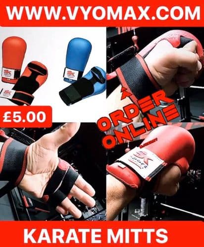 Karate Mitts (One Size)